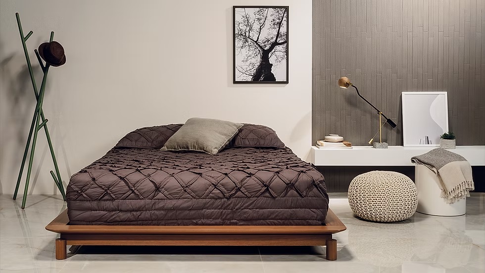 TIMELESS SGR PULIDO 58.40X117 بورسلان برازيلي قص ليزر مجلي