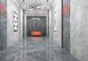 HAMLET GRIS 120X120 STD بورسلان اسباني مجلي قص ليزر