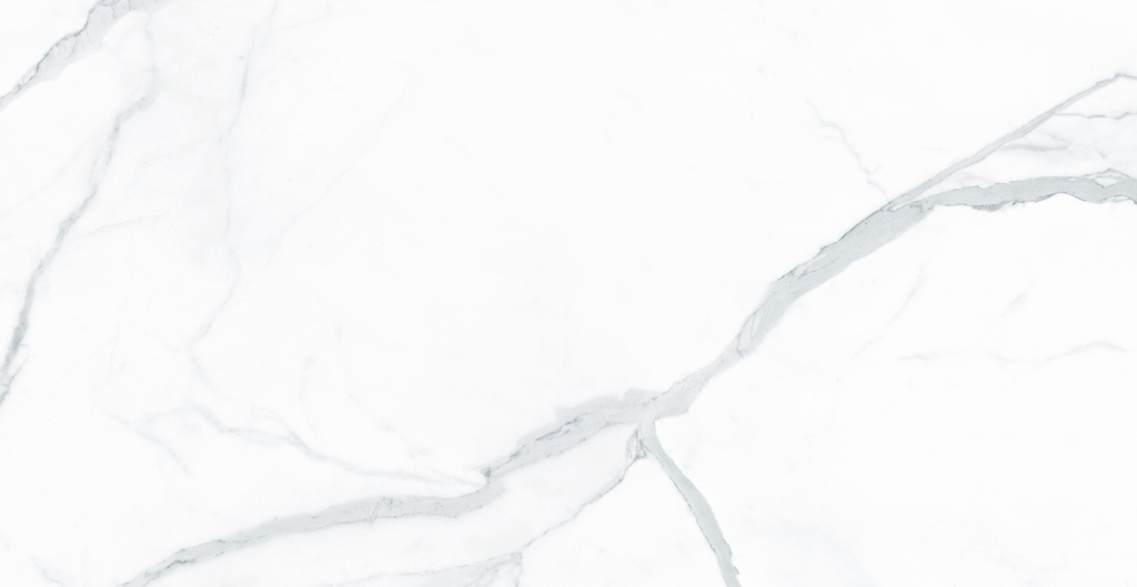 TREVI BLANCO 30X60 STD جدران اسباني قص ليزر