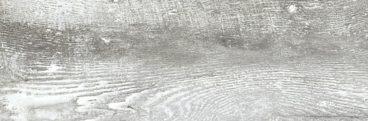 JUNGLE GRIS 20X60 STD سيراميك باركيه اسباني