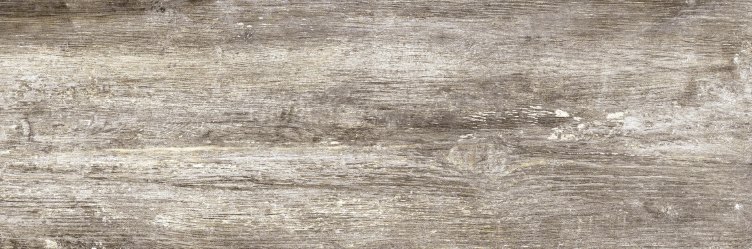 JUNGLE BEIGE 20X60 STD سيراميك باركيه اسباني