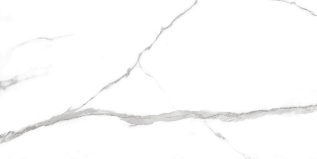 NILO BLANCO 60X120 STD بورسلان اسباني مجلي قص ليزر