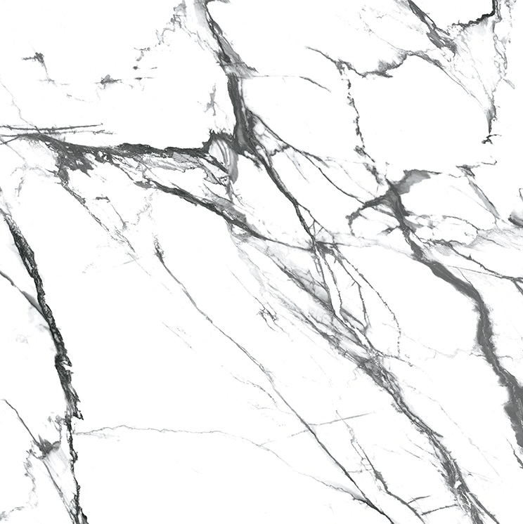 OIKOS BLACK 120X120 STD بورسلان اسباني مجلي قص ليزر