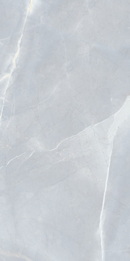 [2302003] PINAPULPIS LIGHT GREY 60X120 بورسلان تركي قص ليزر