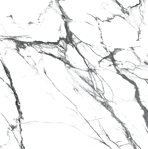 [2002098] OIKOS BLACK 120X120 STD بورسلان اسباني مجلي قص ليزر