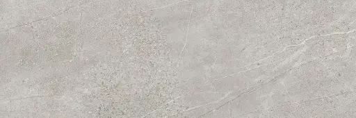 [1001828] TREVI 1215 SILVER 40X120 جدران اسباني