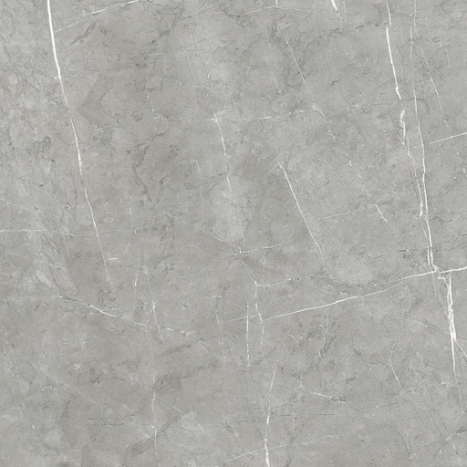 [1002583] LYON 1836 MARENGO 100X100 STD بورسلان اسباني قص ليزر