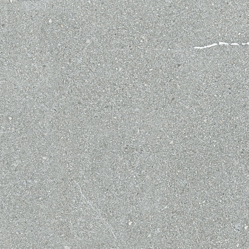 [1002601] CLEVELAND 5058 GREY 50X50 STD بورسلان اسباني قص ليزر