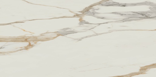 [1202068] MEDICI GOLD PULIDO 60X120 بورسلان اسباني قص ليزر مجلي