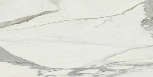 [1202072] MEDICI WHITE PULIDO 80X160 بورسلان اسباني قص ليزر مجلي