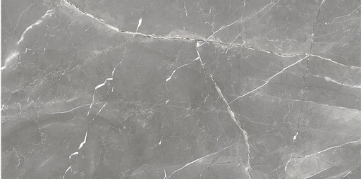 [1804040] RODUM GRIS MATE 60X120 بورسلان اسباني قص ليزر