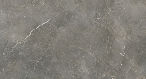 [1902008] MAGNUM HD DGR PULIDO 58.40X117 بورسلان برازيلي قص ليزر مجلي